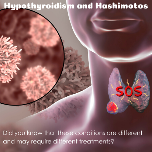 Hypothyroidism and Hashimotos