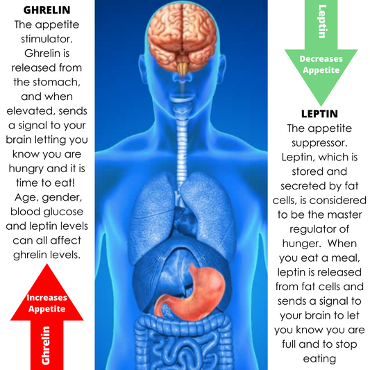 Leptin and Leptin Resistance