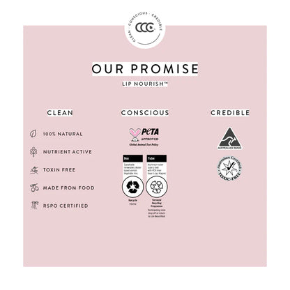 Lip Tint Tree - Rosé Christmas Gift