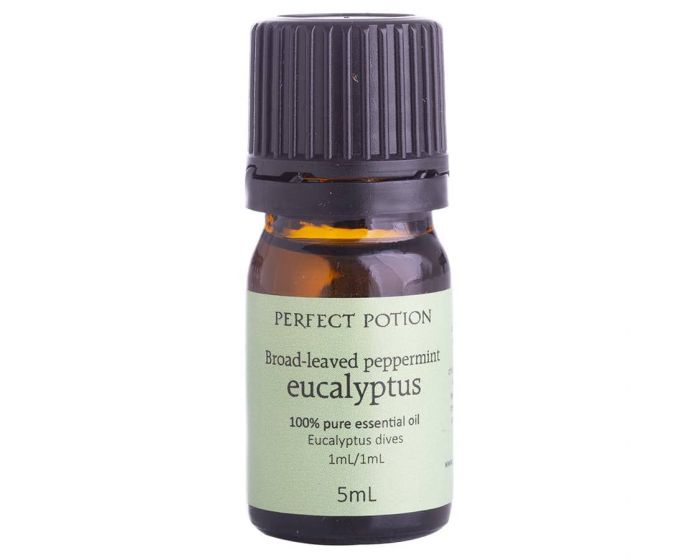 Eucalyptus, Broad-Leaved Peppermint 5ml Perfect Potion